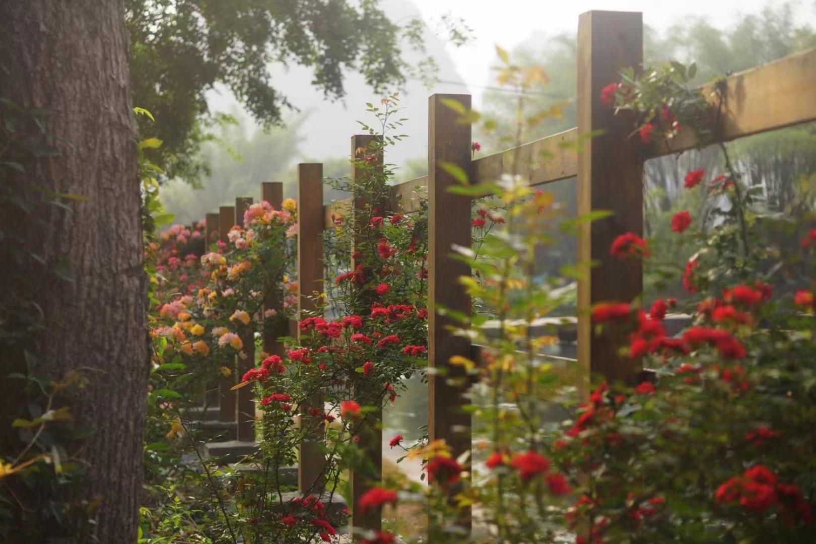 Moondance Boutique Resort Yangshuo Zewnętrze zdjęcie